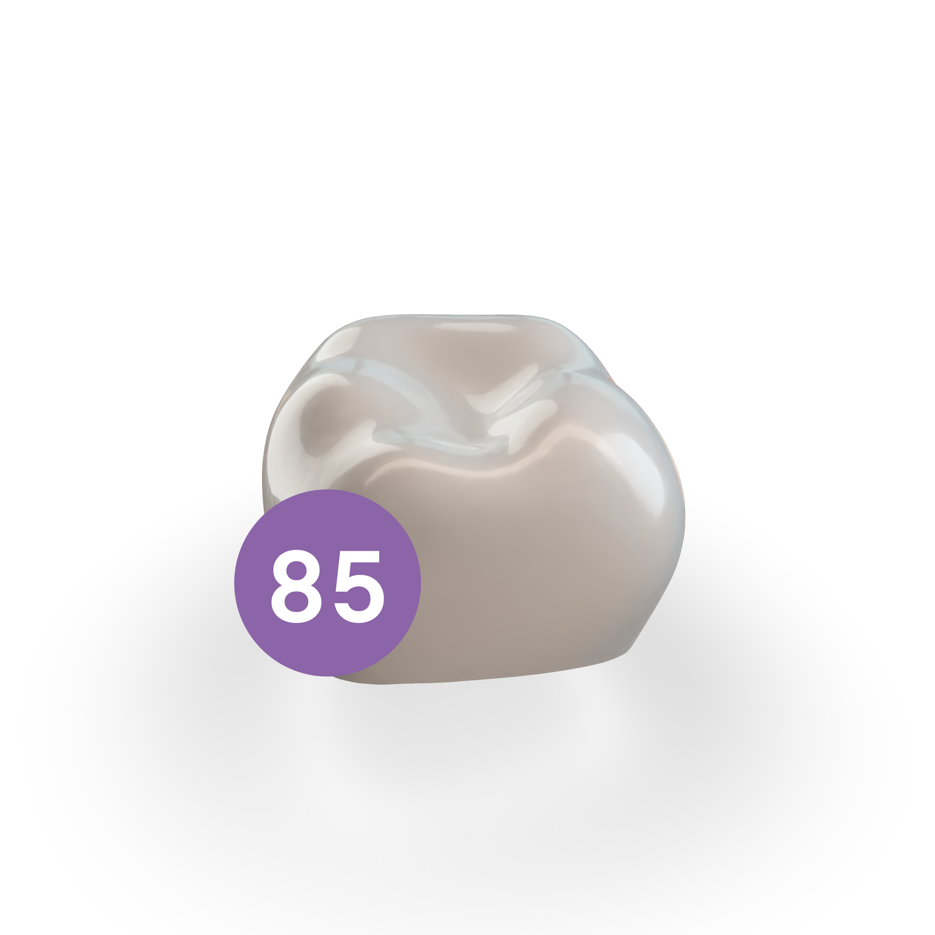 Second Molar LRE (85) Second Molar LRE (85)