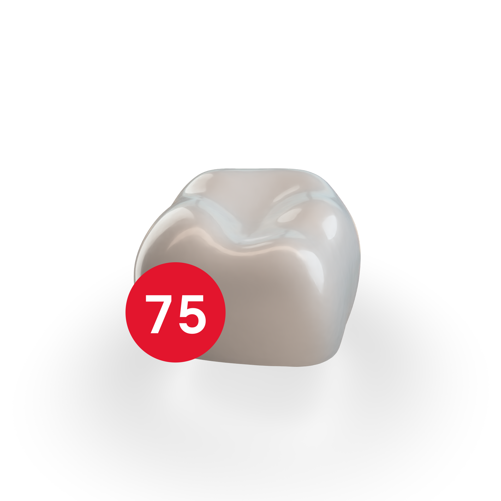 Second Molar LLE (75) Second Molar LLE (75)