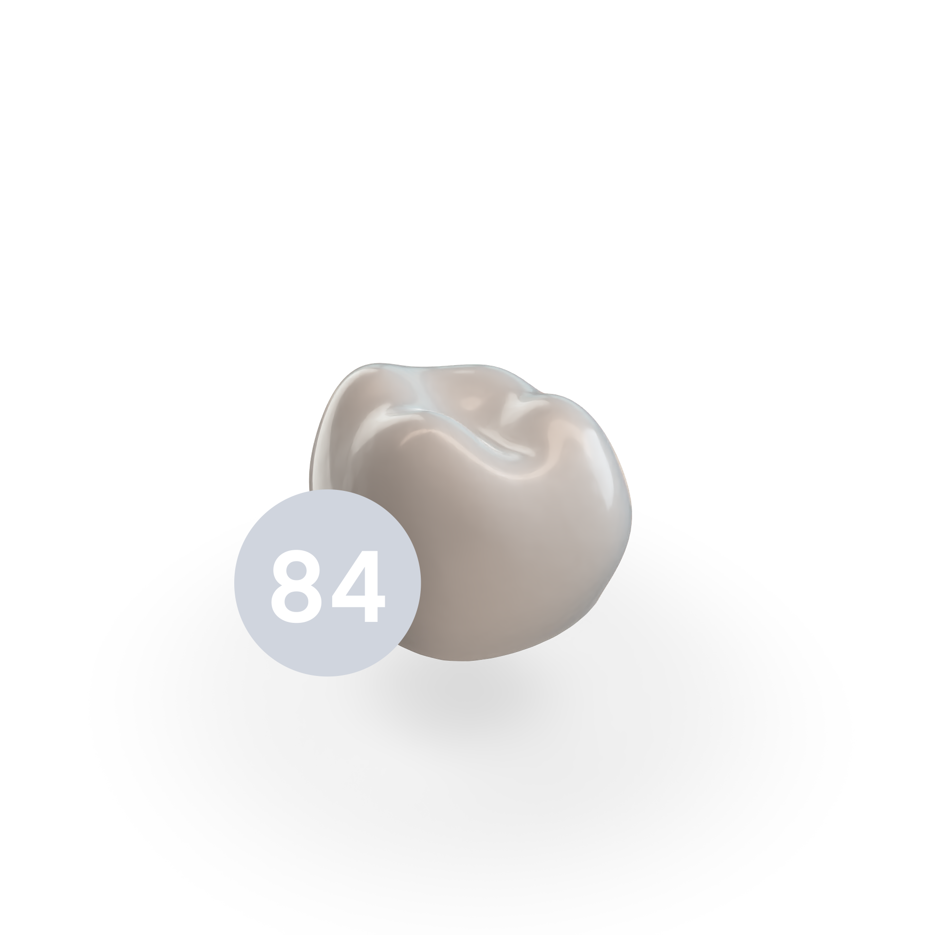 First Molar LRD (84) First Molar LRD (84)