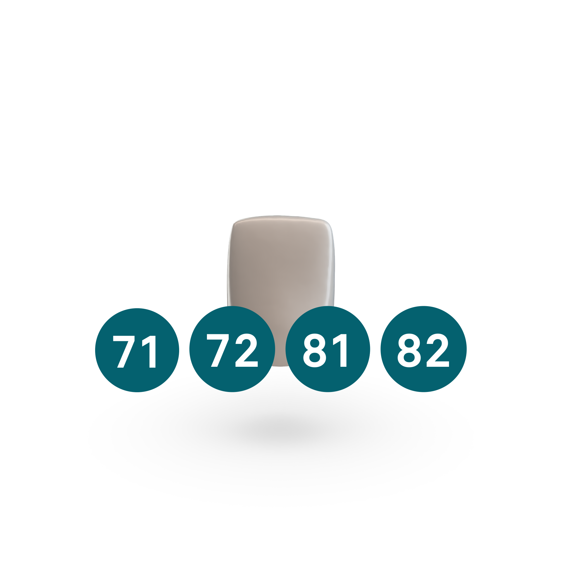 Incisor Lower (71, 72, 81, 82)