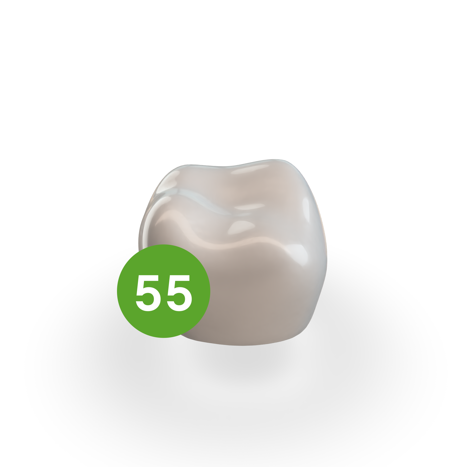 Second Molar URE (55) Second Molar URE (55)