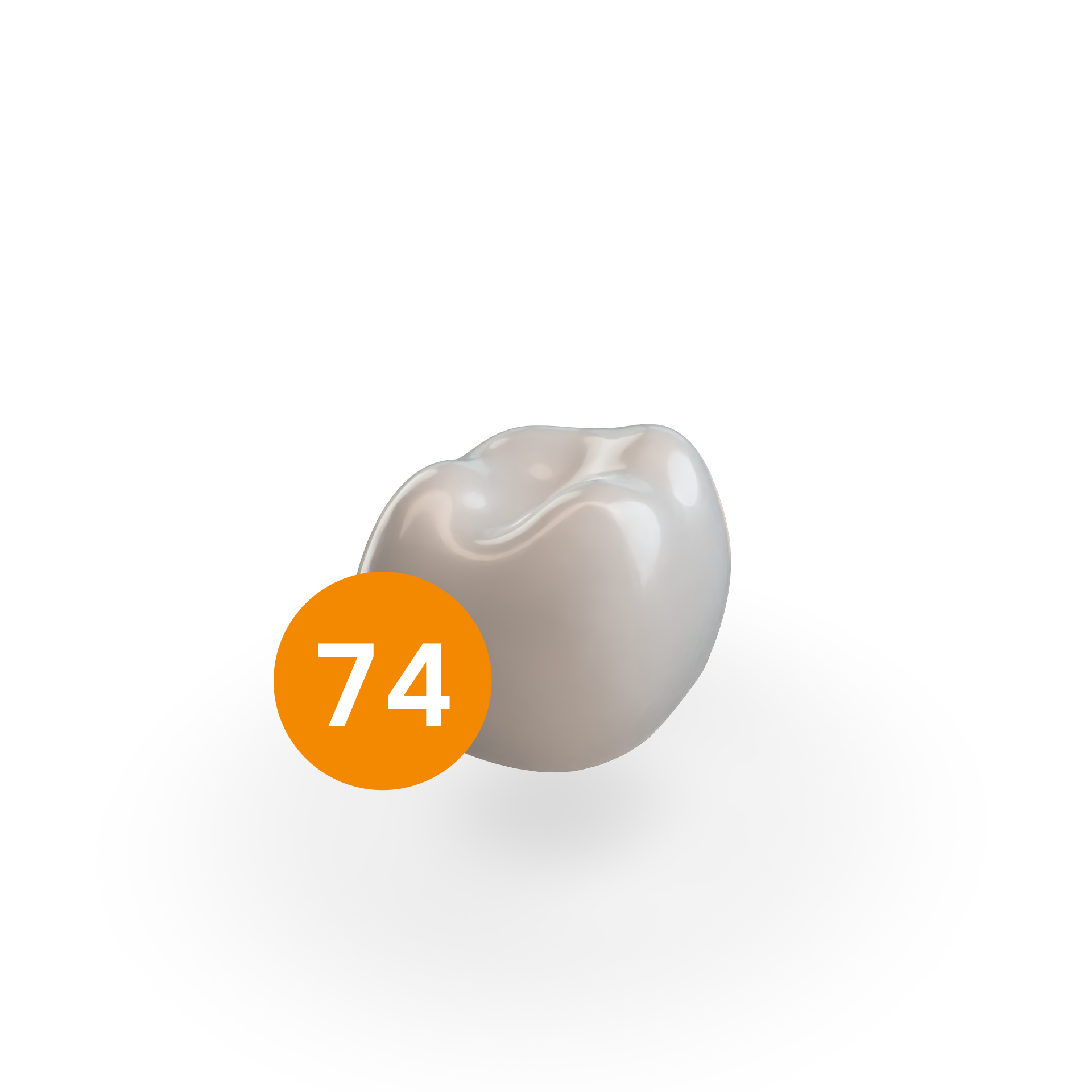 First Molar LLD (74) First Molar LLD (74)